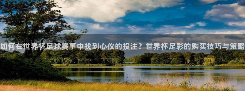 世界杯2026赛程表：如何在世界杯足球赛事中找到心仪的投注？世界杯足彩的购买技巧与策略