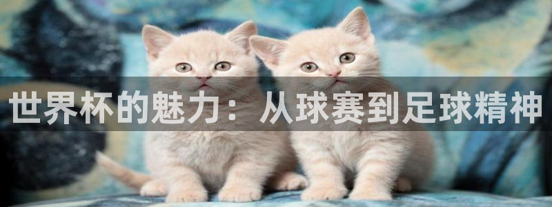 世预赛赛程表：世界杯的魅力：从球赛到足球精神