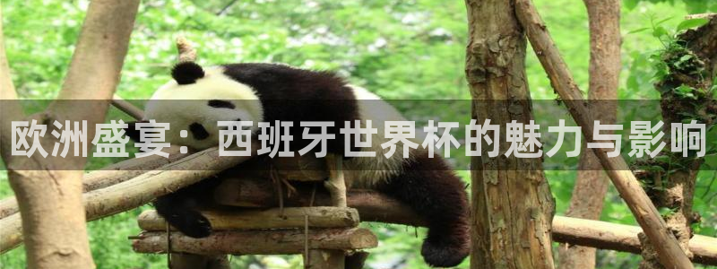 2026足球世界杯赛程时间表：欧洲盛宴：西班牙世界杯的魅力与影响