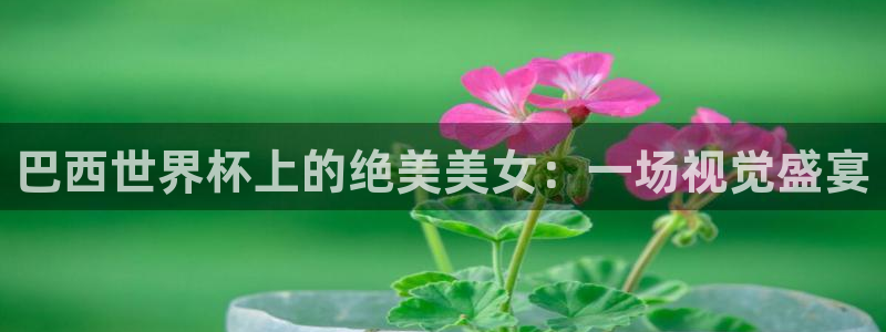 世界杯2026比赛时间表：巴西世界杯上的绝美美女：一场视觉盛宴