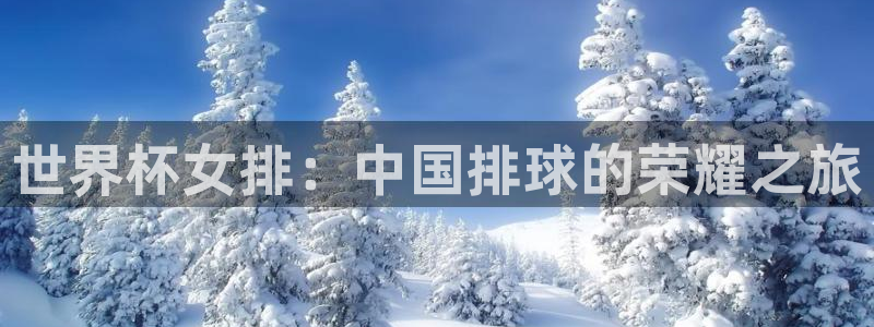 2026世界杯小组赛赛程时间表：世界杯女排：中国排球的荣耀之旅