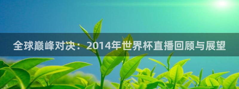 世界杯决赛圈球队：全球巅峰对决：2014年世界杯直播回顾与展望