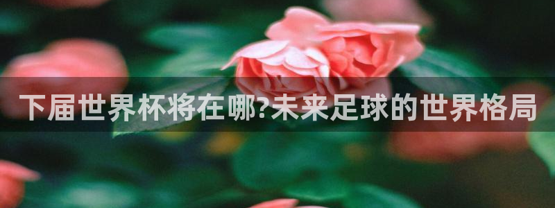 世界杯比赛直播：下届世界杯将在哪?未来足球的世界格局