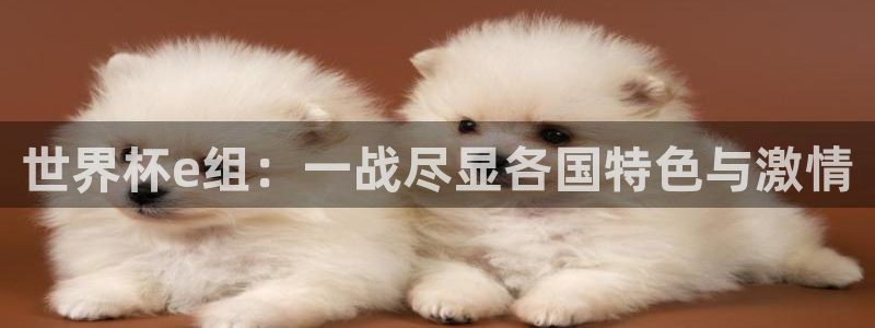 2026年男足世界杯：世界杯e组：一战尽显各国特色与激情