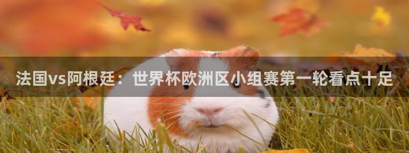 美洲杯直播：法国vs阿根廷：世界杯欧洲区小组赛第一轮看点十足